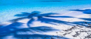 Strand mit blauem Meer und dem Schatten von Palmen.