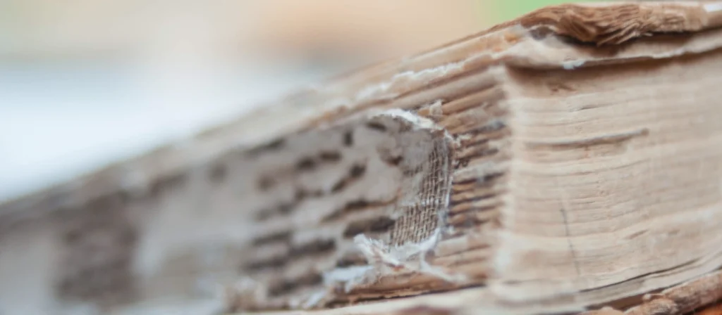 Ein altes, zerfleddertes Buch