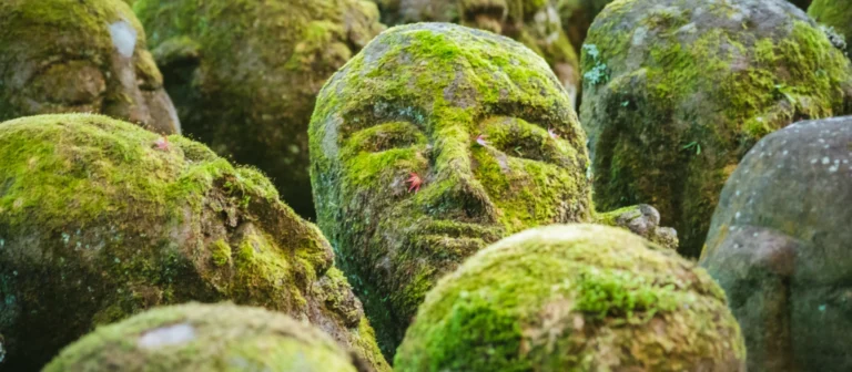 Aus Stein gemeißelte Köpfe, die Moos angesetzt haben