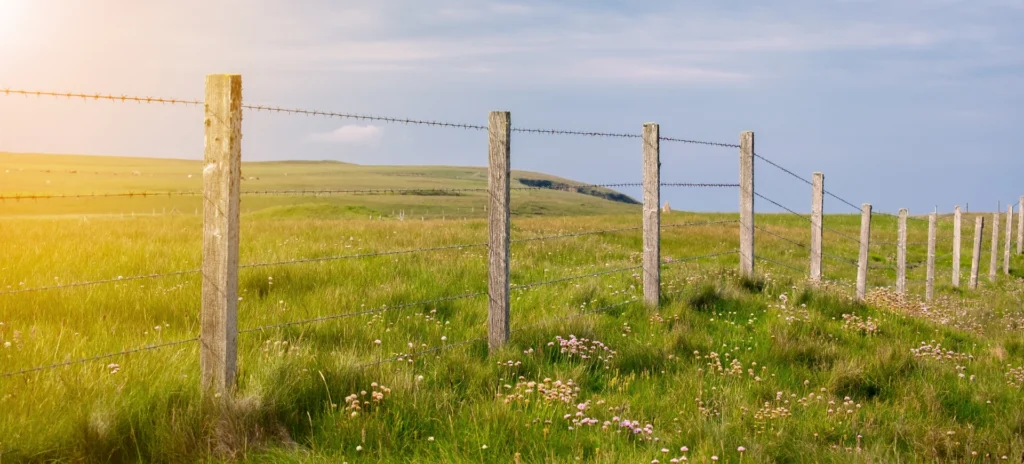 Landschaft mit Stacheldrahtzaun und Wiese.
