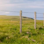 Landschaft mit Stacheldrahtzaun und Wiese.