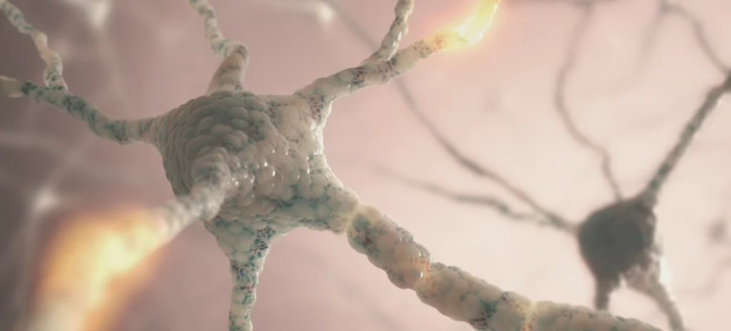 3D-Illustration eines Neurons mit Verbindungen