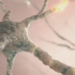 3D-Illustration eines Neurons mit Verbindungen