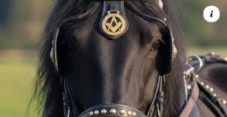 Screenshot_20260315_194833_Facebook